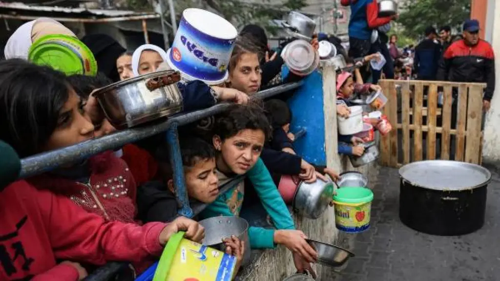 الجوع يتفاقم في غزة .. والتكايا عاجزة أمام حاجة النازحين