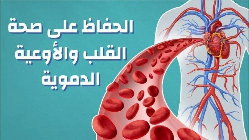 للوقاية من أمراض القلب .. سبع خطوات أساسية فقط