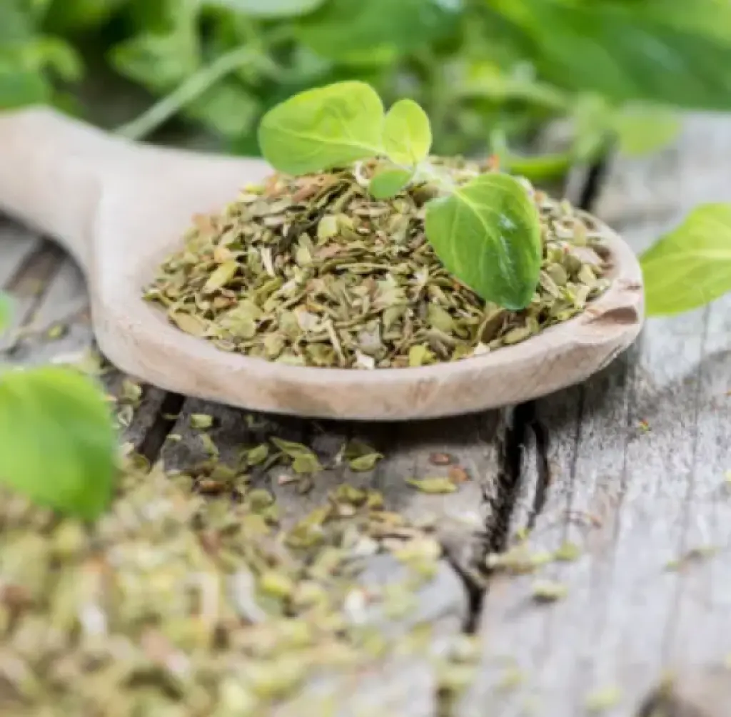 الأوريغانو قد يدعم ضغط الدم .. رغم محدودية الأدلة