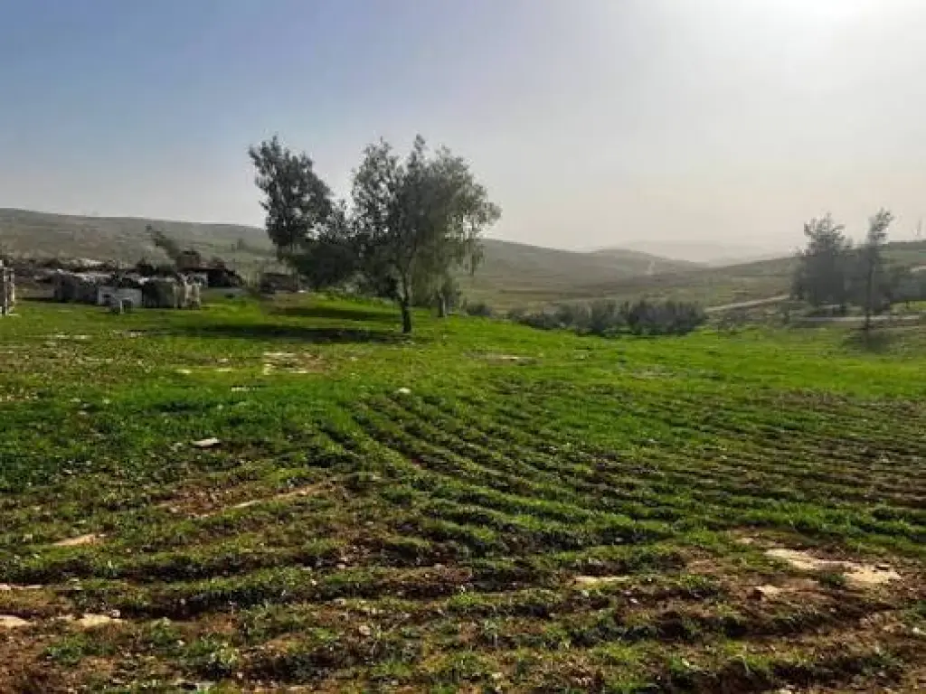 قرية (المزرعة)… حين تُزهر الأرض بأرواح أهلها