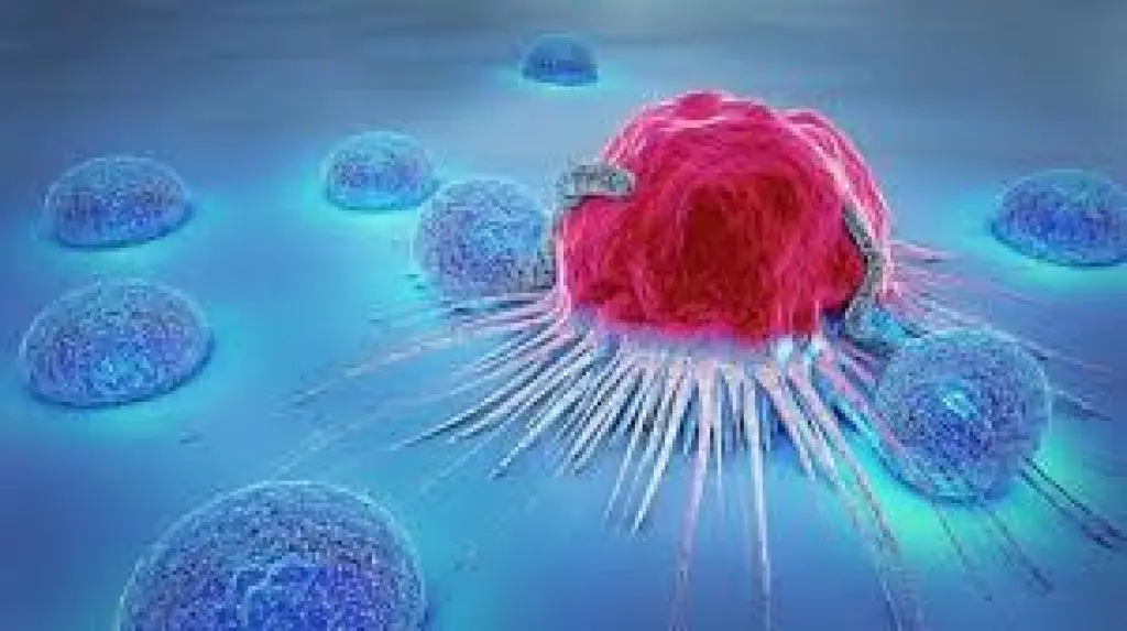 بحجم الهاتف وأرخص 50% .. حل ذكي يمنح أملاً لمرضى السرطان