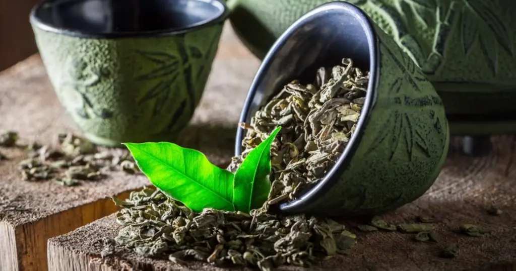 الشاي الأخضر .. سرّ طبيعي لبشرة هادئة وحاجز جلدي أقوى