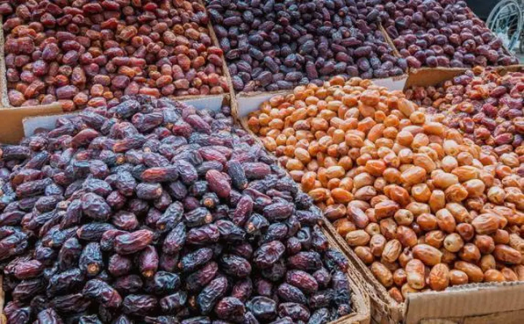قطاع التمور في الأردن يشهد تحولا ملحوظافي الإنتاج والتصدير