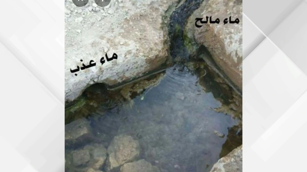 عين ماء ملح في بصيرا.. ظاهرة طبيعية نادرة تجمع العذوبة والملوحة في حوض واحد