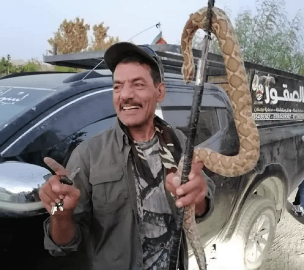خبير الافاعي الصقور يتعرض لحادث دهس (فيديو)