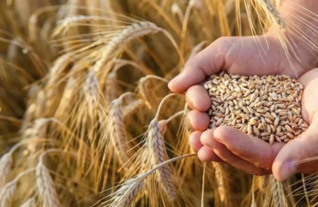 المائدة العالمية تواجه قفزة سعرية هي الأعلى في 3 سنوات